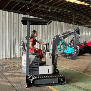 Free Shipping Micro Excavator Mini Digger Hydraulic Crawler Excavator 0.8 Ton Small Digger China Mini Excavator with Rubber